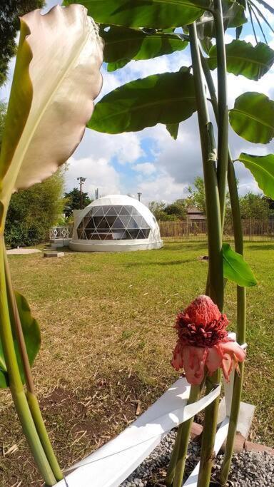 Ferienwohnung Dome In The Heart Of Boquete. Exterior foto